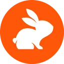 CodeRabbit
