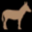 SongDonkey.AI